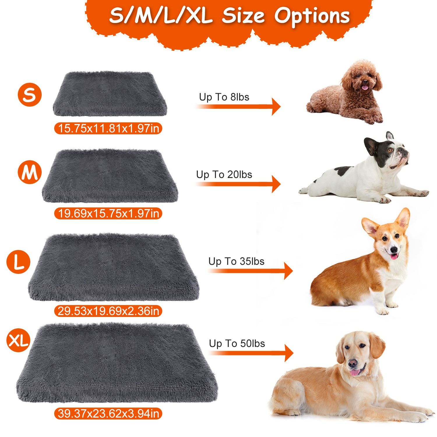 XL